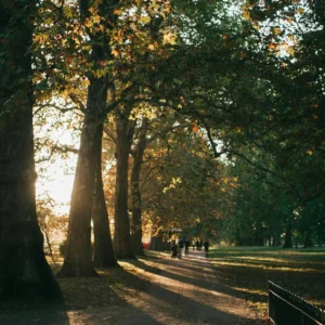 Knightsbridge Summer Festival